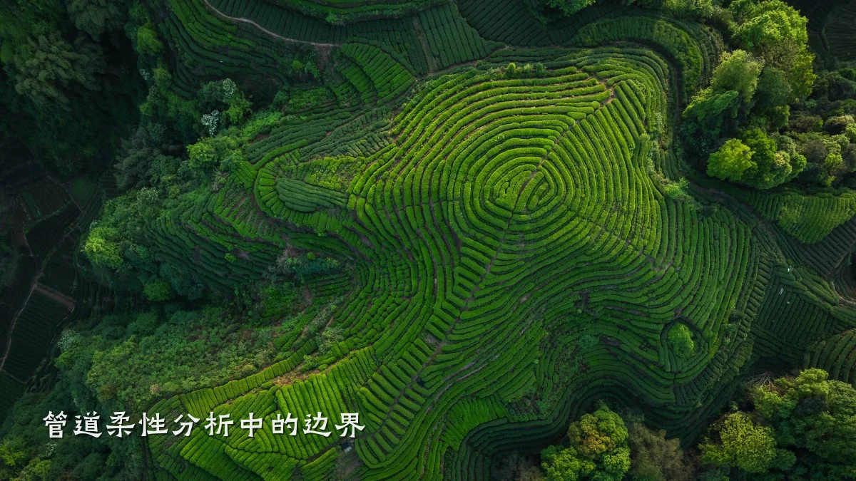 管道柔性分析中的边界