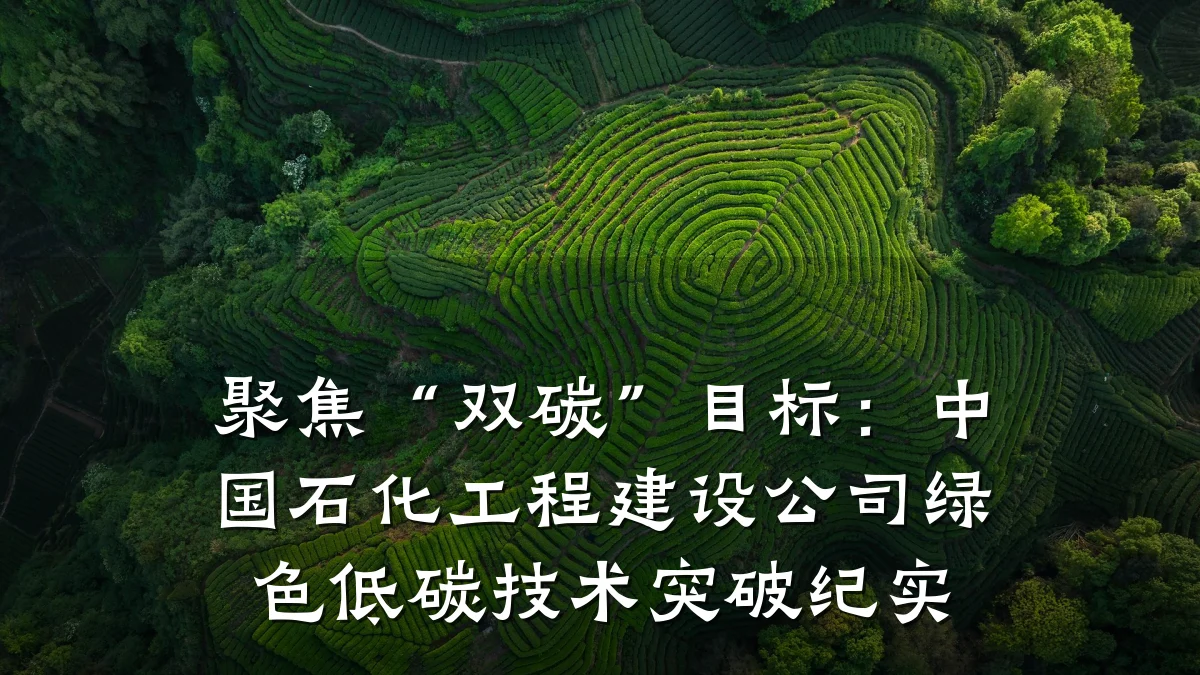 聚焦“双碳”目标：中国石化工程建设公司绿色低碳技术突破纪实