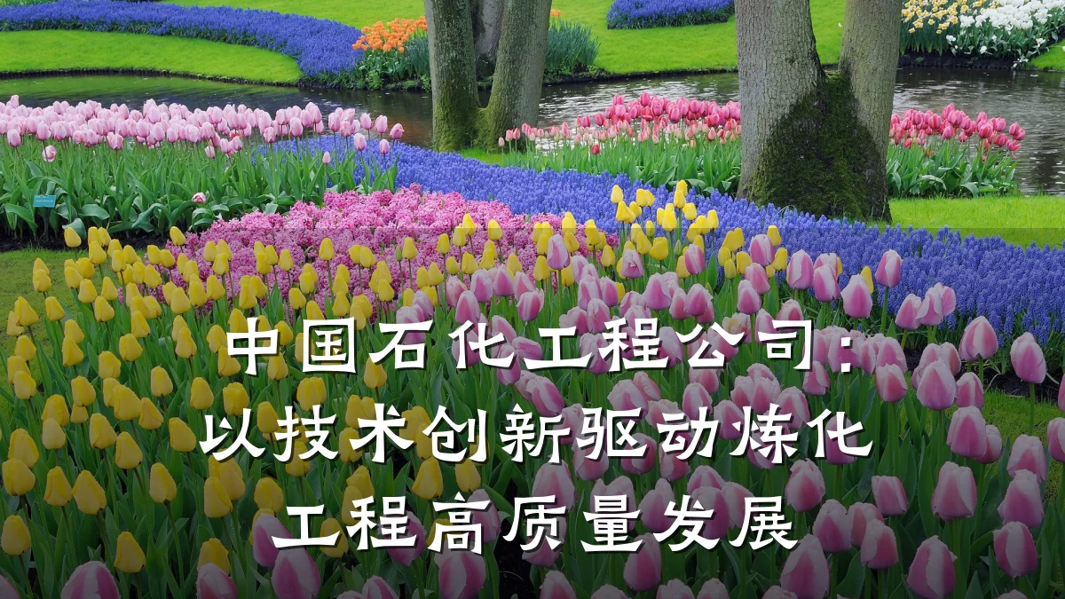 中国石化工程公司:以技术创新驱动炼化工程高质量发展