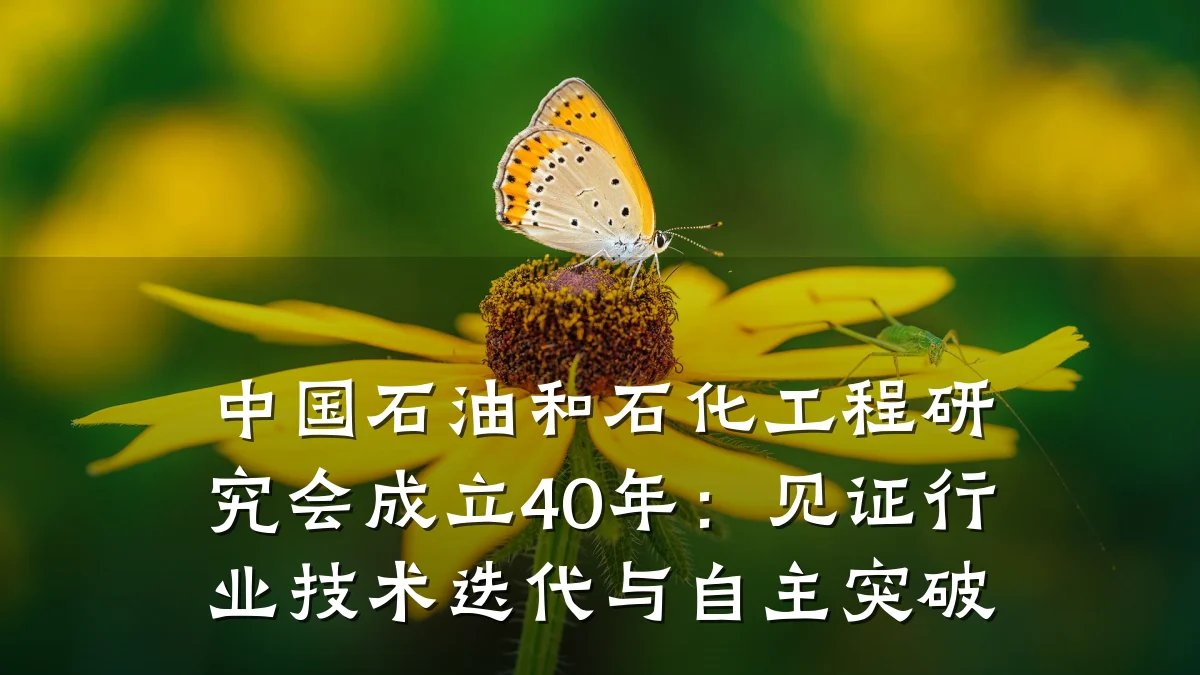 中国石油和石化工程研究会成立40年:见证行业技术迭代与自主突破