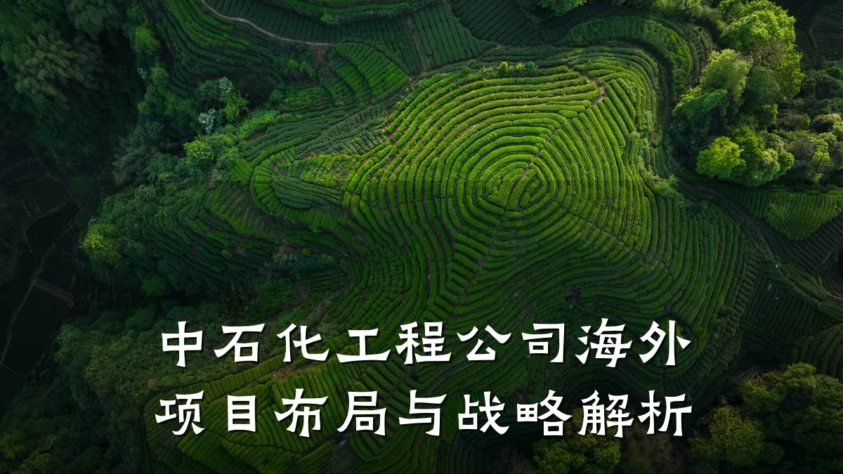 中石化工程公司海外项目布局与战略解析