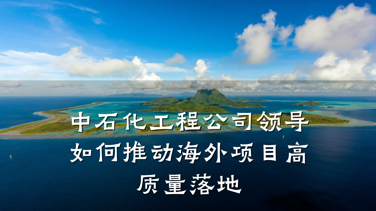中石化工程公司领导如何推动海外项目高质量落地