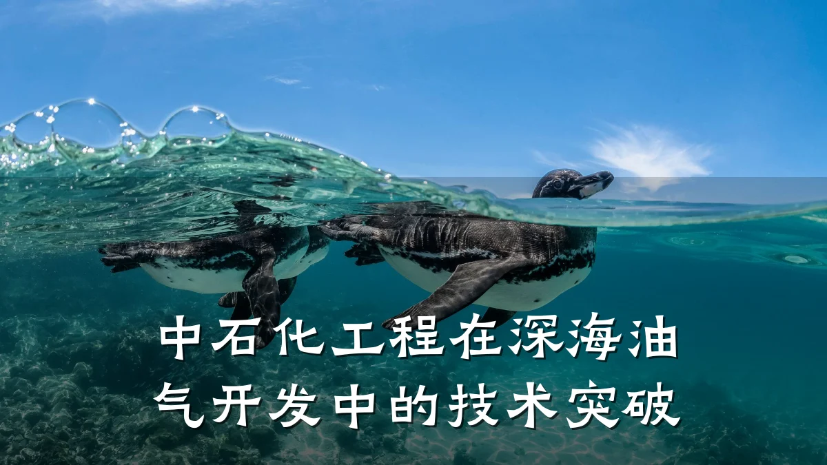 中石化工程在深海油气开发中的技术突破