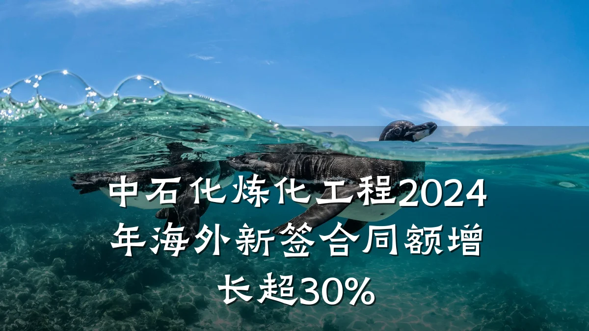 中石化炼化工程2024年海外新签合同额增长超30%