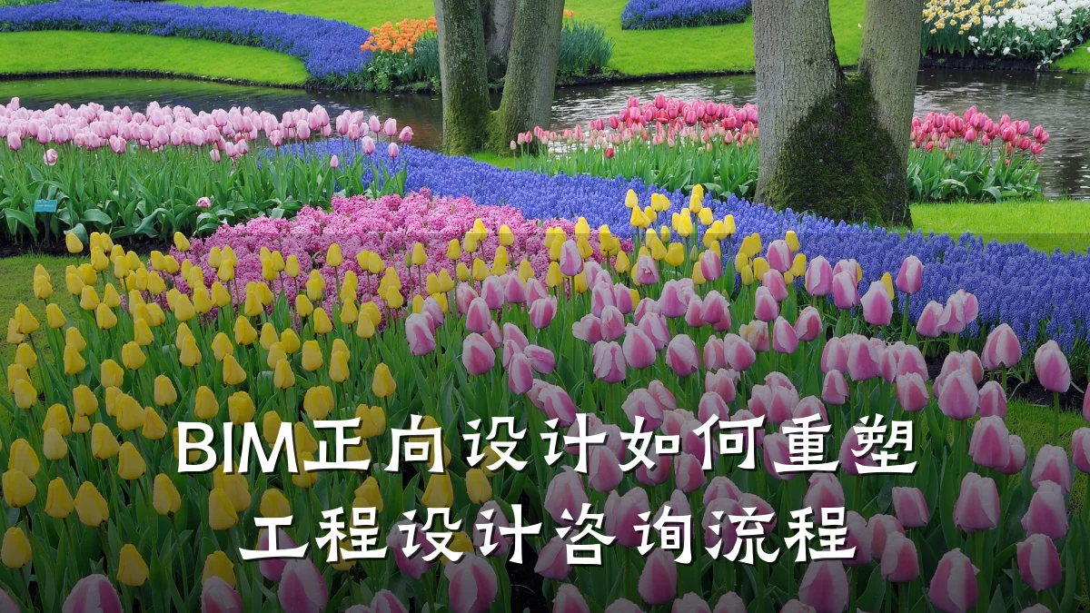 BIM正向设计如何重塑工程设计咨询流程