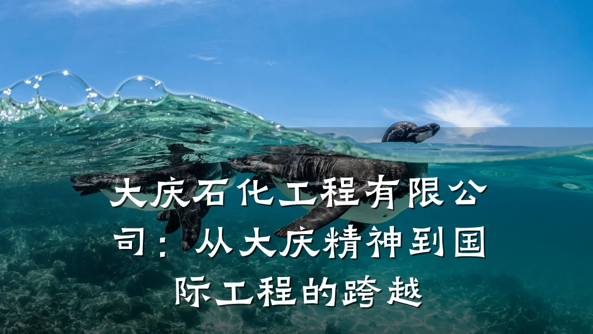 大庆石化工程有限公司:从大庆精神到国际工程的跨越