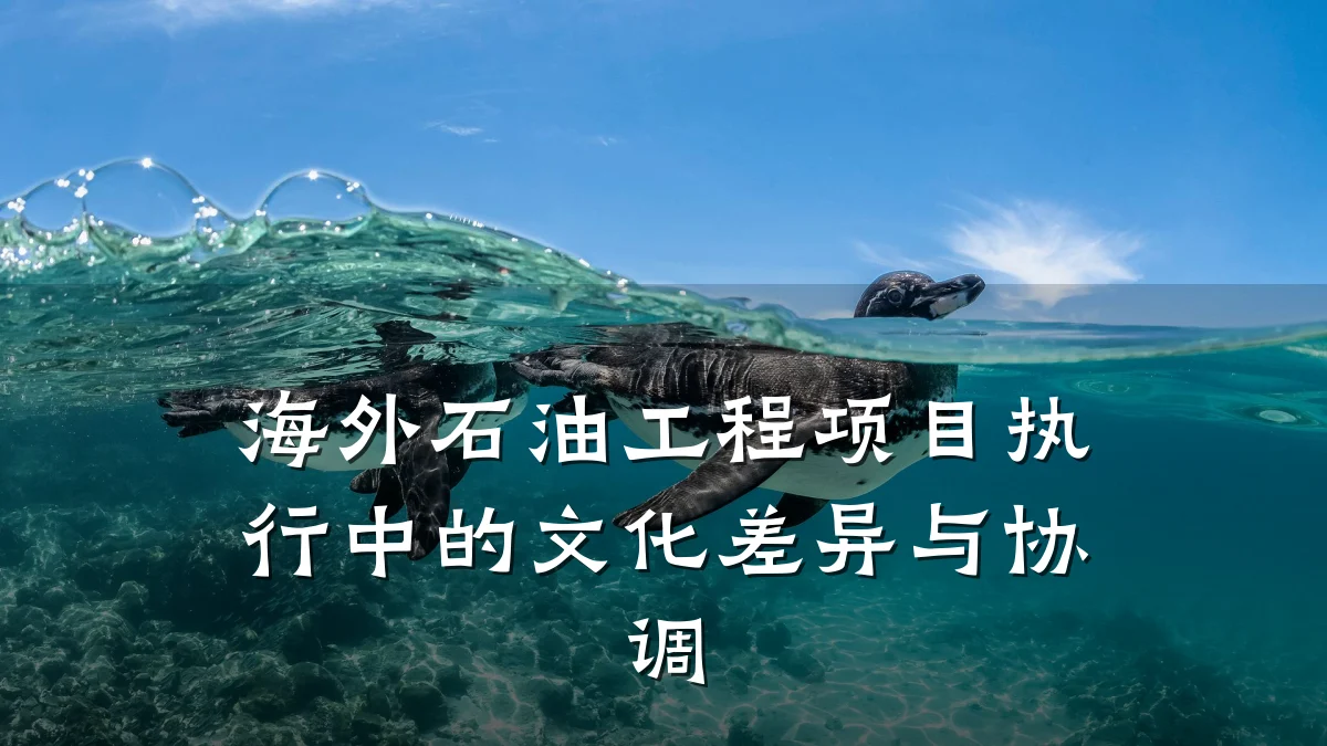 海外石油工程项目执行中的文化差异与协调