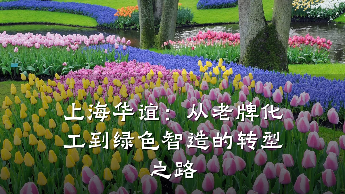 上海华谊:从老牌化工到绿色智造的转型之路