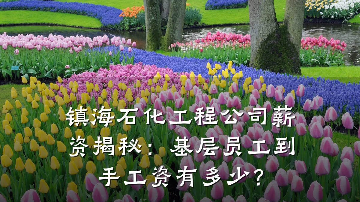 镇海石化工程公司薪资揭秘：基层员工到手工资有多少？