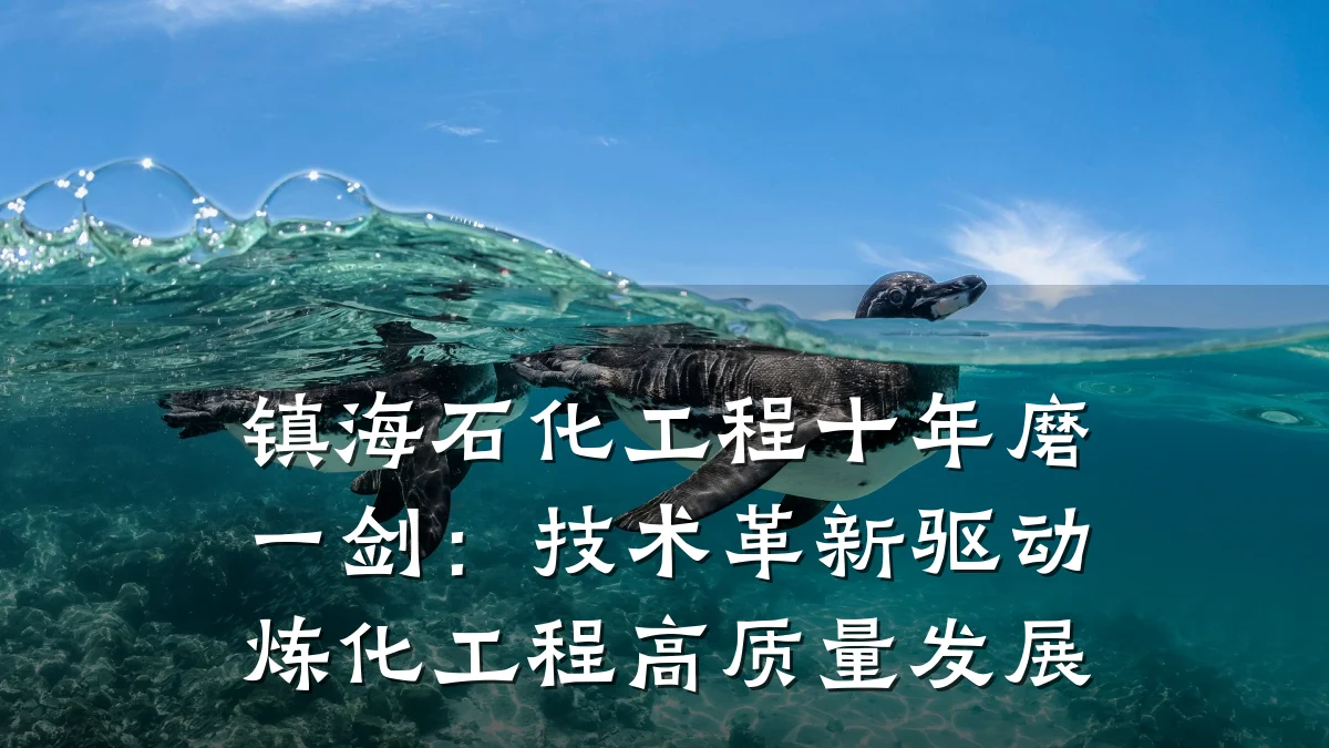 镇海石化工程十年磨一剑：技术革新驱动炼化工程高质量发展