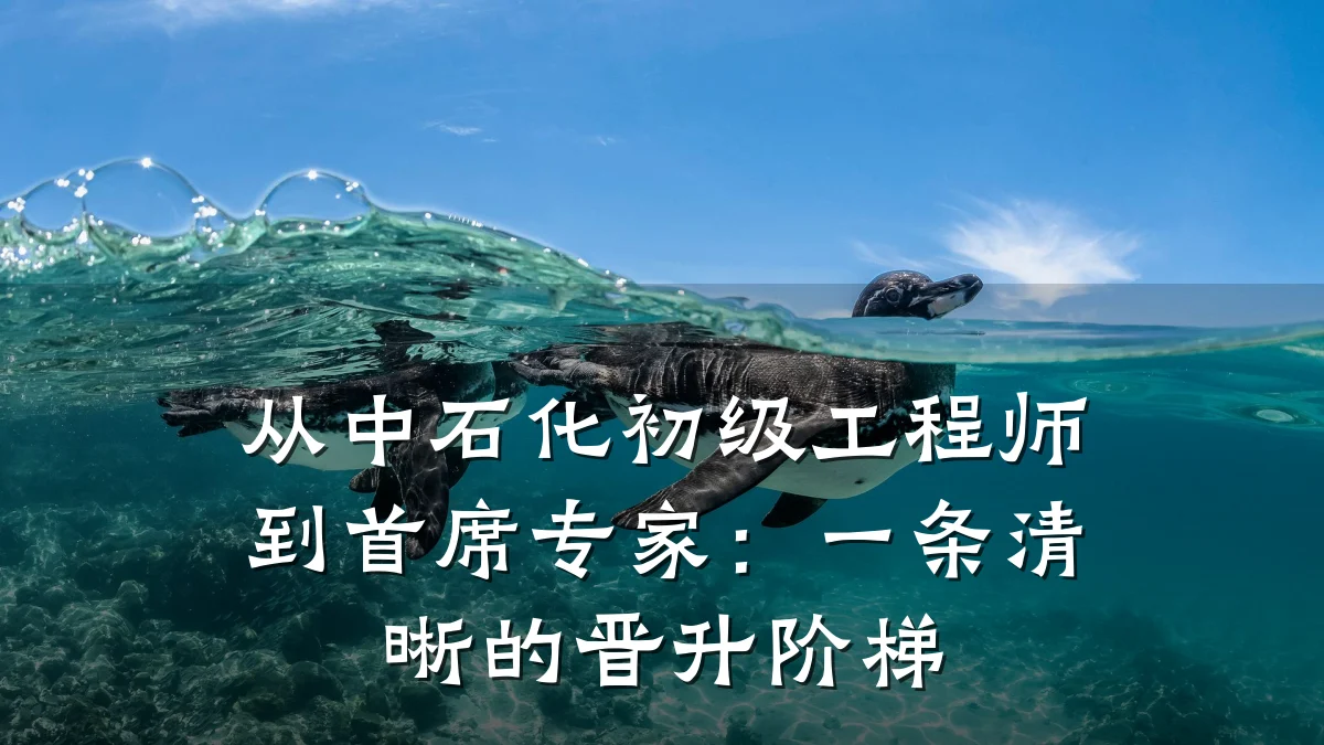 从中石化初级工程师到首席专家:一条清晰的晋升阶梯