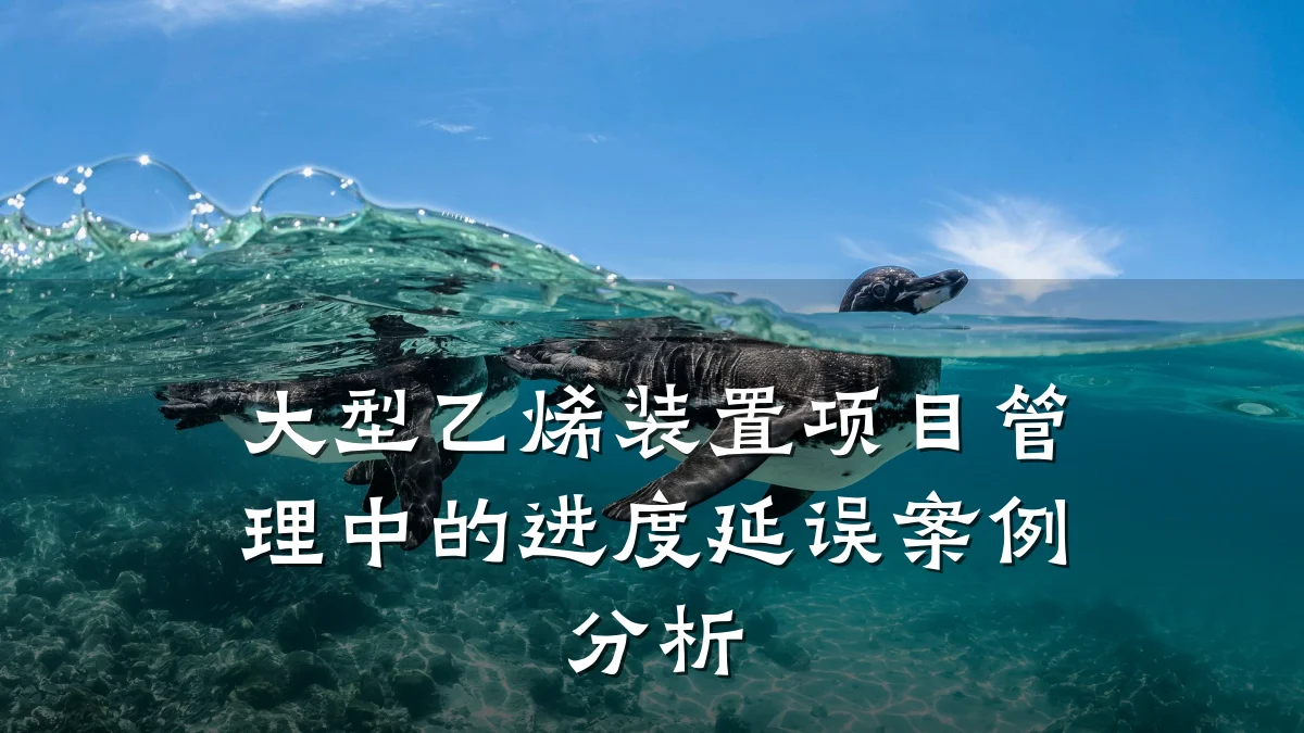 大型乙烯装置项目管理中的进度延误案例分析