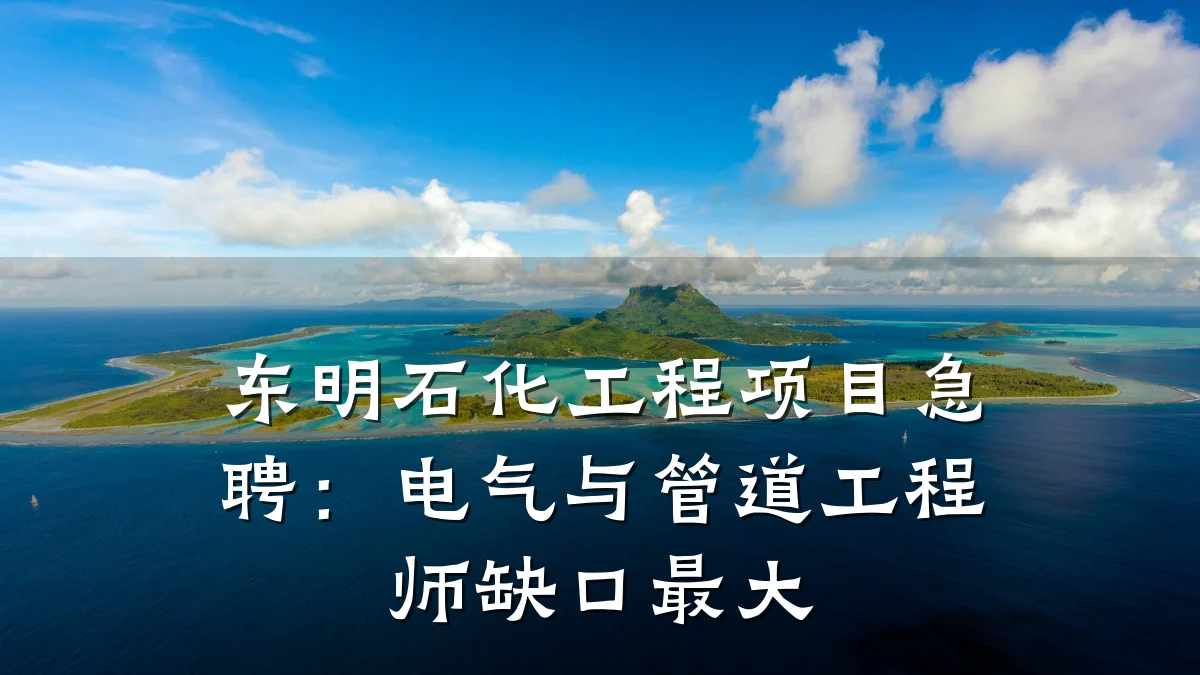东明石化工程项目急聘:电气与管道工程师缺口最大