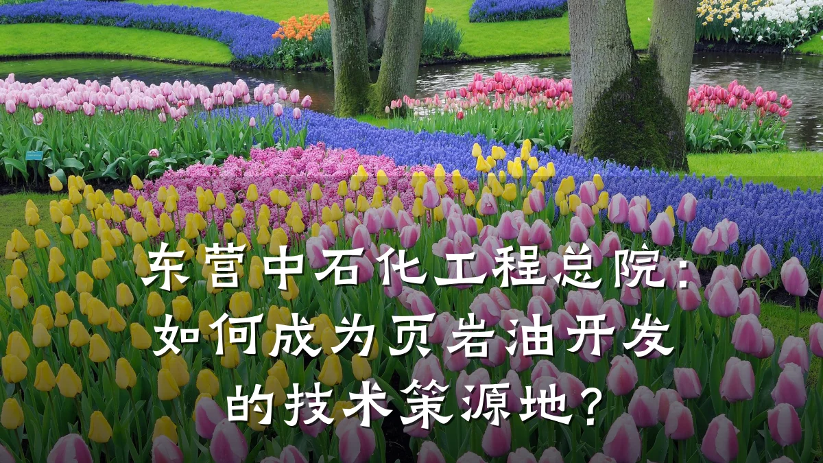 东营中石化工程总院:如何成为页岩油开发的技术策源地?