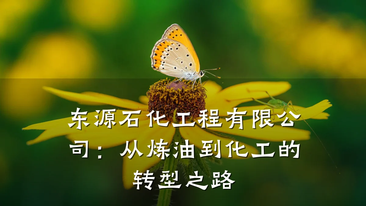 东源石化工程有限公司:从炼油到化工的转型之路