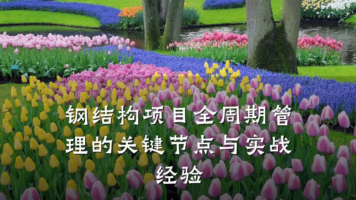 钢结构项目全周期管理的关键节点与实战经验