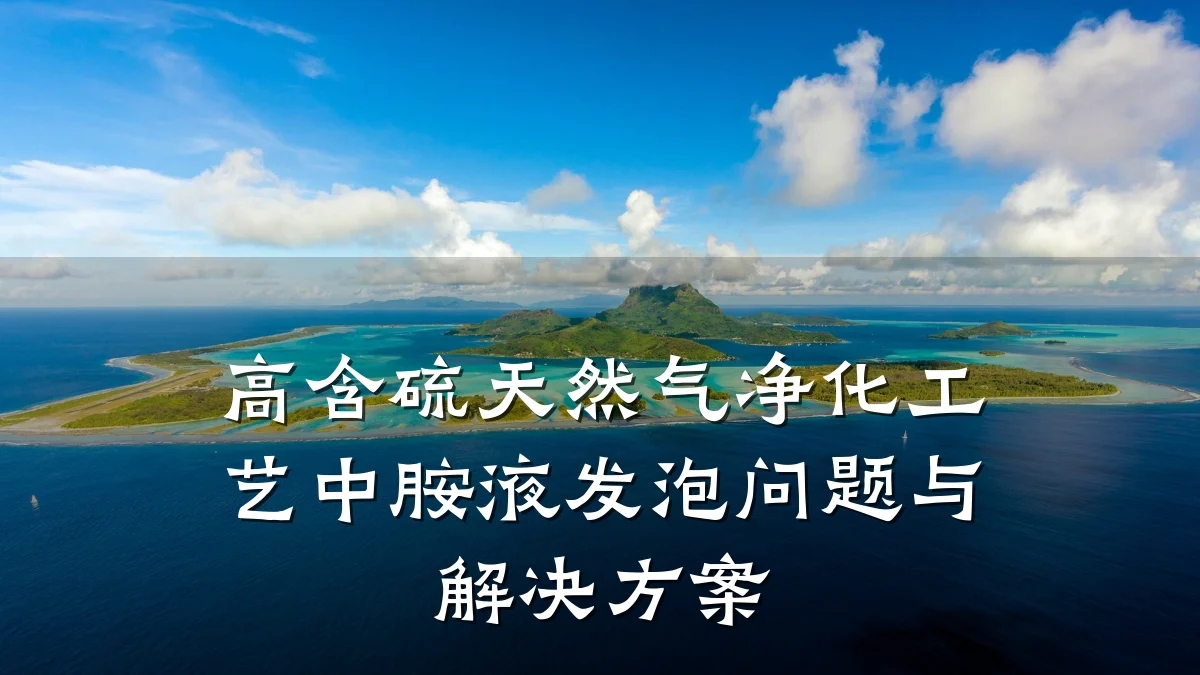 高含硫天然气净化工艺中胺液发泡问题与解决方案