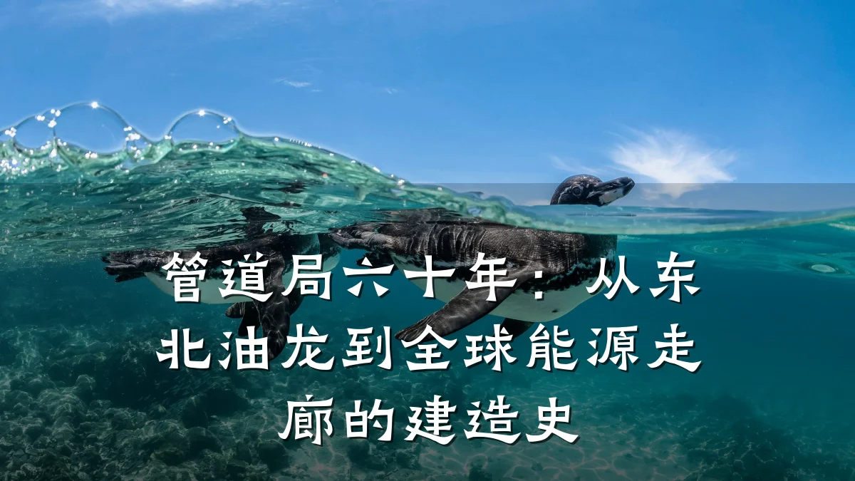 管道局六十年:从东北油龙到全球能源走廊的建造史