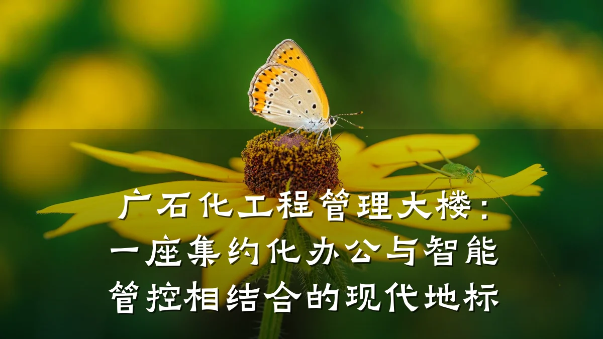 广石化工程管理大楼:一座集约化办公与智能管控相结合的现代地标