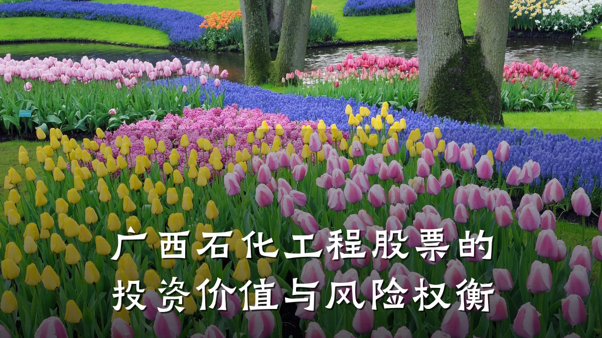 广西石化工程股票的投资价值与风险权衡
