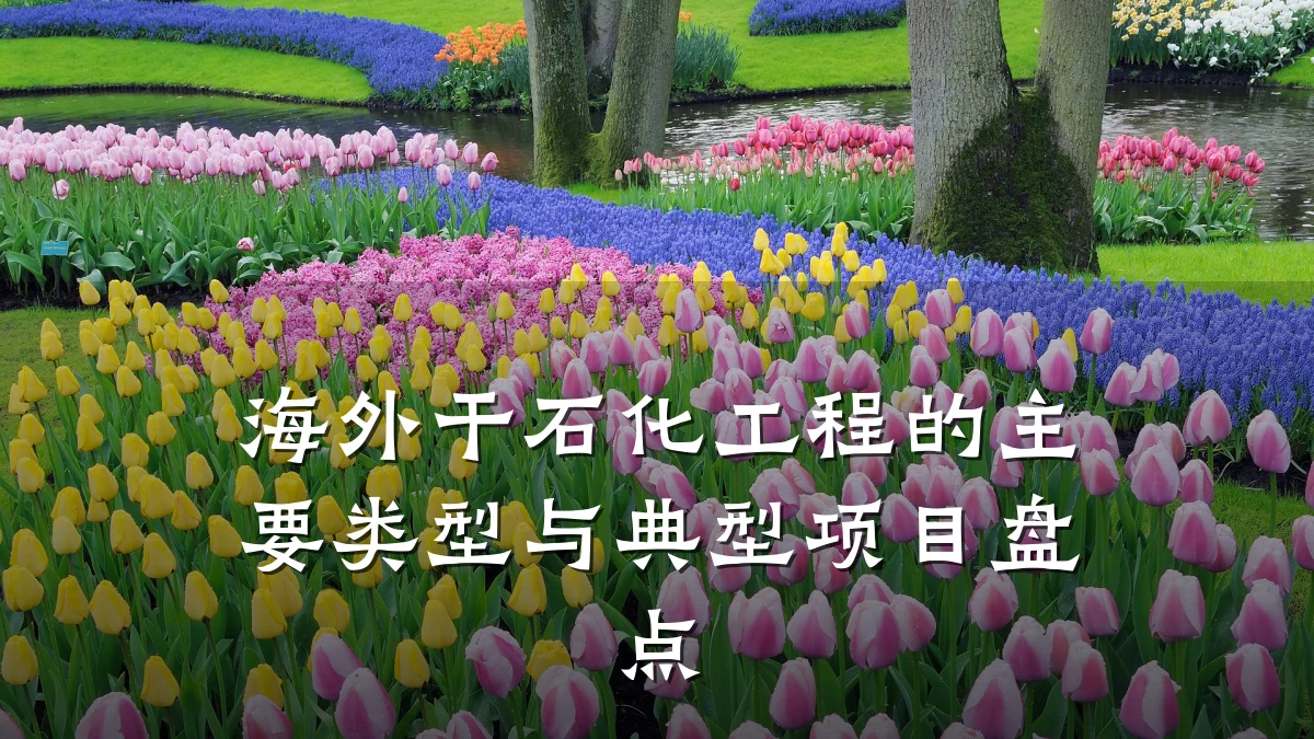 海外干石化工程的主要类型与典型项目盘点