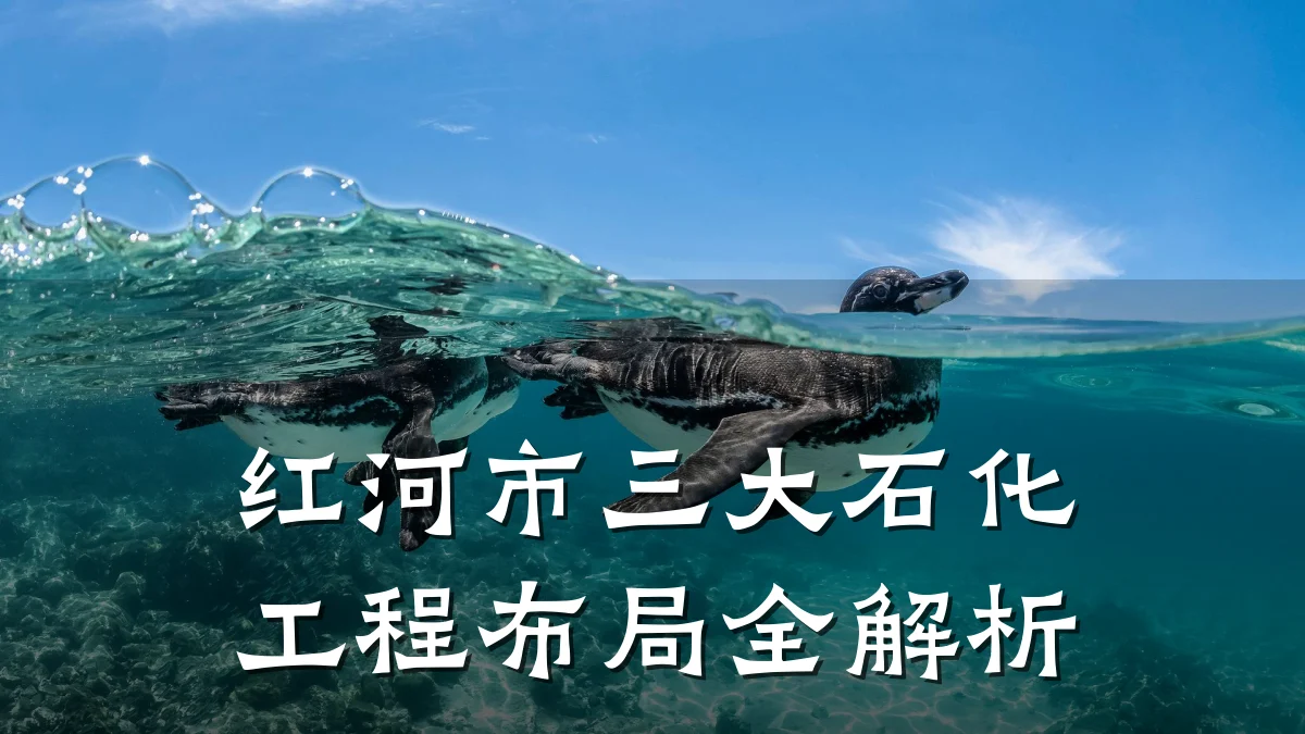 红河市三大石化工程布局全解析