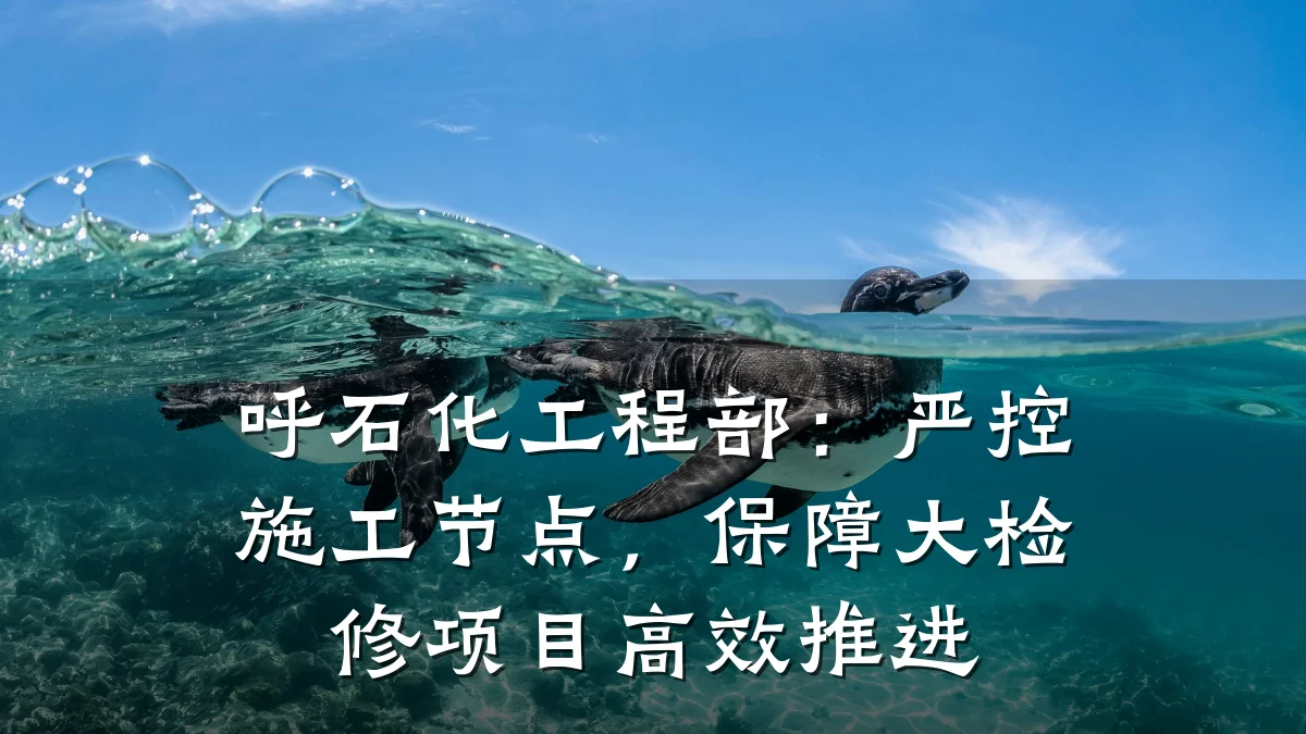 呼石化工程部:严控施工节点,保障大检修项目高效推进