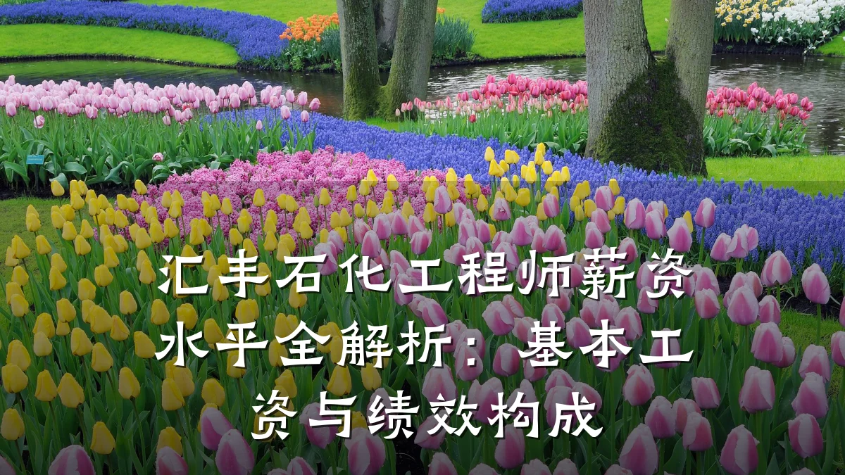 汇丰石化工程师薪资水平全解析:基本工资与绩效构成