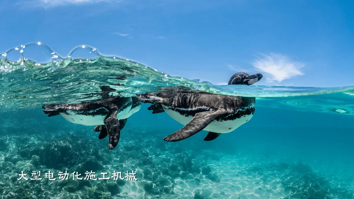 大型电动化施工机械