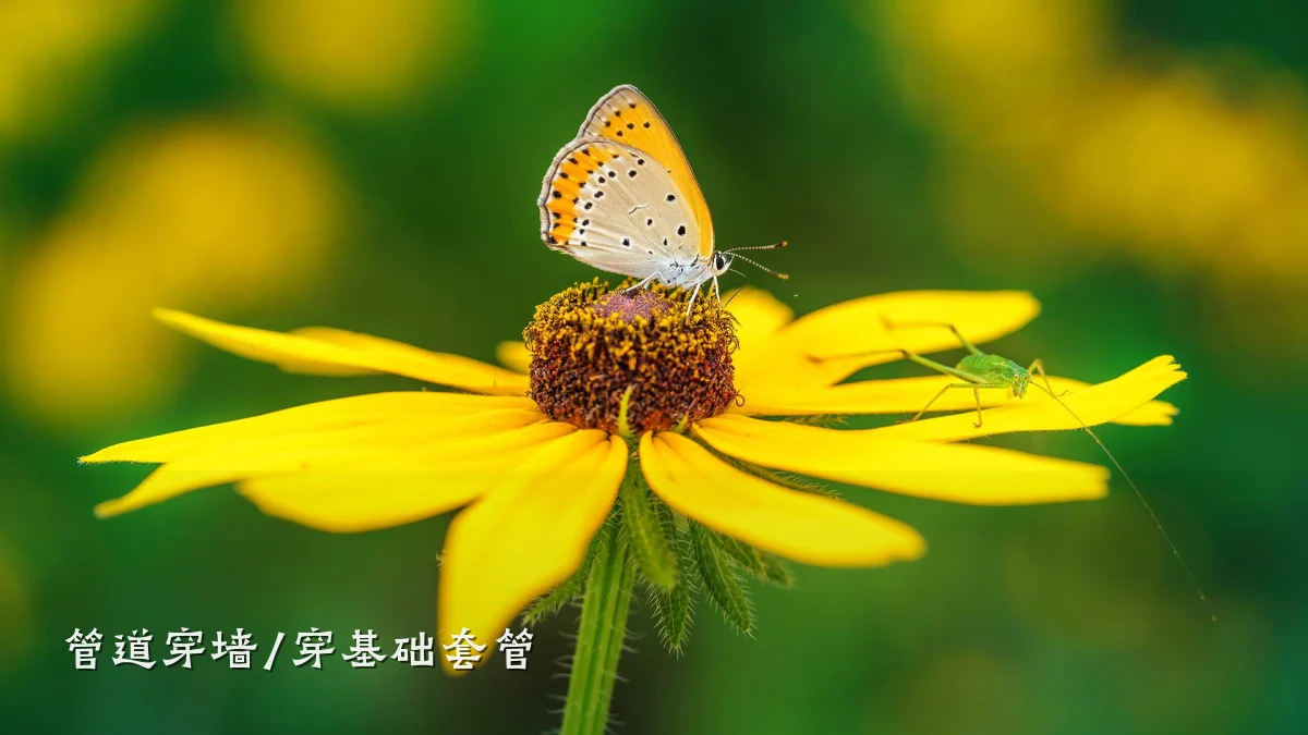 管道穿墙/穿基础套管