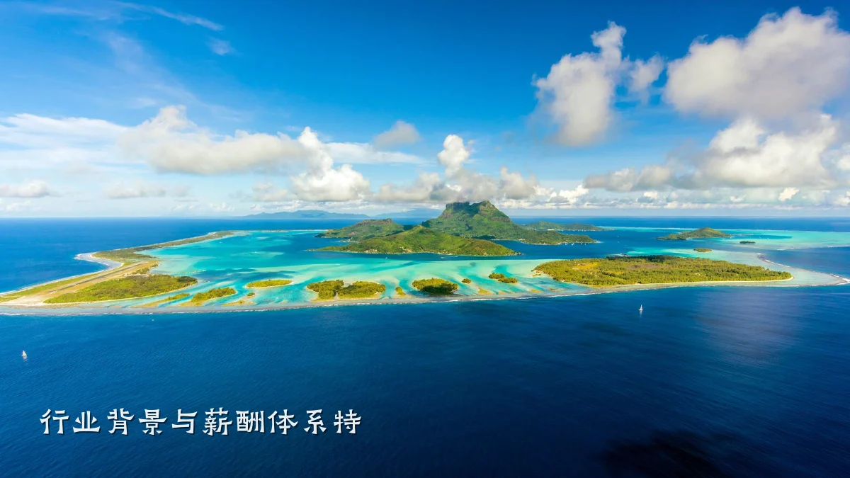 行业背景与薪酬体系特