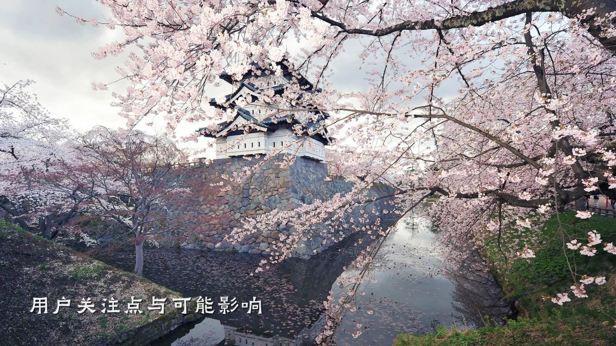 用户关注点与可能影响