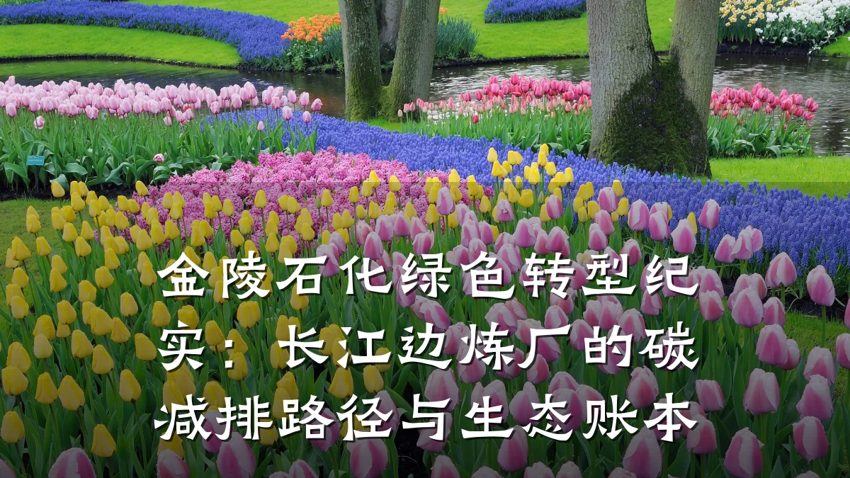 金陵石化绿色转型纪实:长江边炼厂的碳减排路径与生态账本