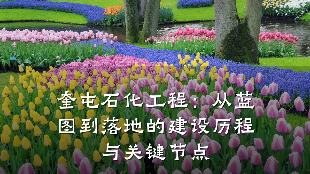 奎屯石化工程:从蓝图到落地的建设历程与关键节点