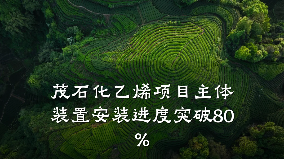 茂石化乙烯项目主体装置安装进度突破80%