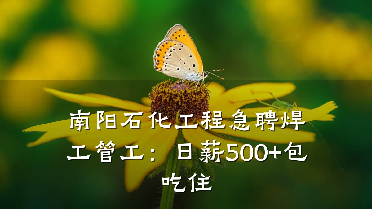 南阳石化工程急聘焊工管工:日薪500+包吃住