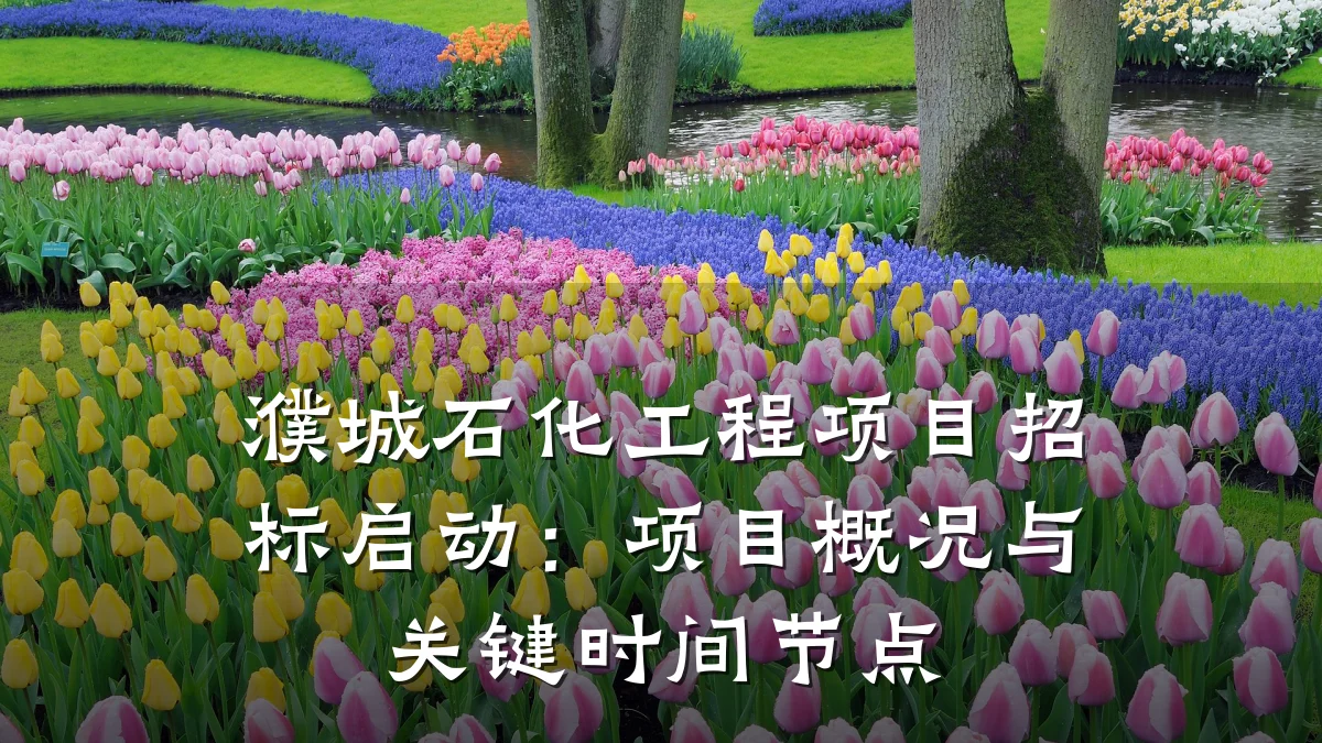 濮城石化工程项目招标启动:项目概况与关键时间节点
