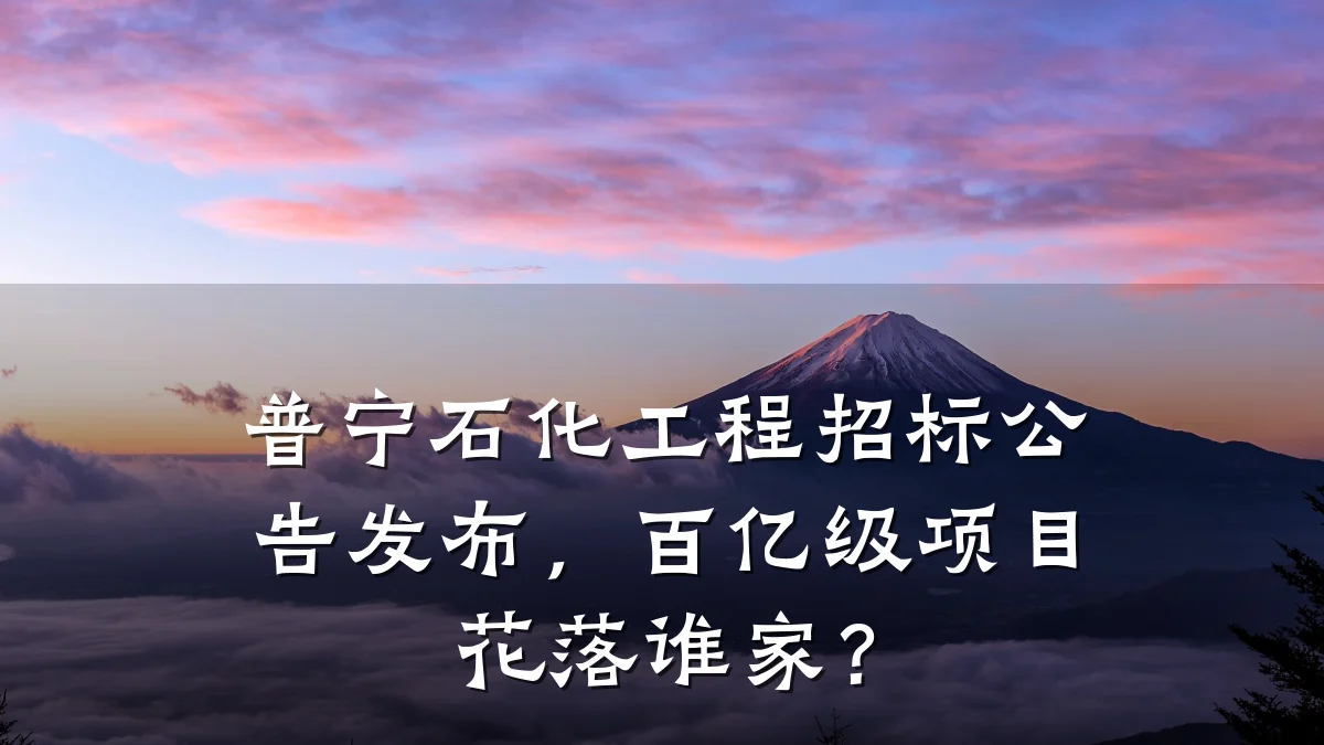 普宁石化工程招标公告发布,百亿级项目花落谁家?