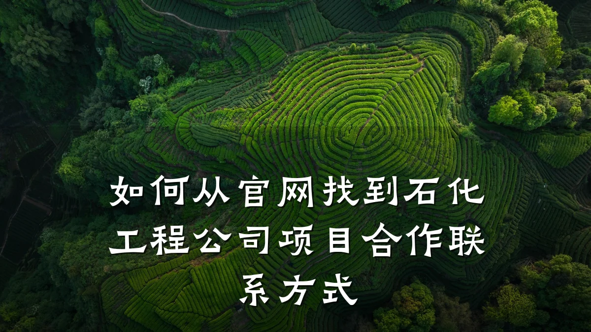 如何从官网找到石化工程公司项目合作联系方式