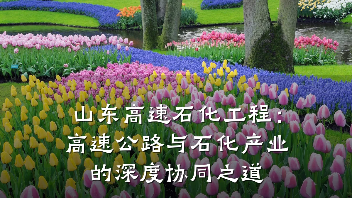 山东高速石化工程:高速公路与石化产业的深度协同之道