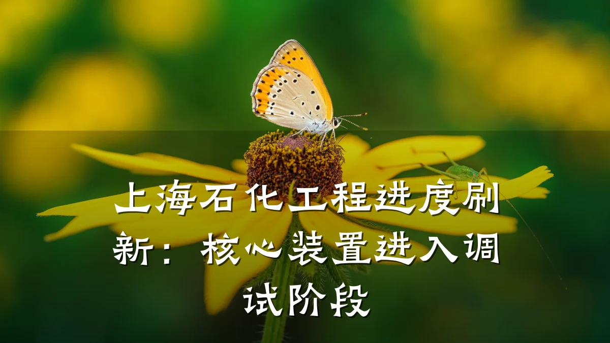 上海石化工程进度刷新:核心装置进入调试阶段