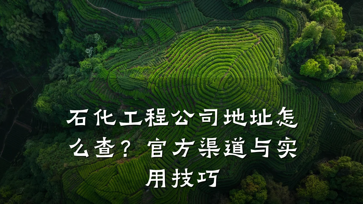 石化工程公司地址怎么查?官方渠道与实用技巧
