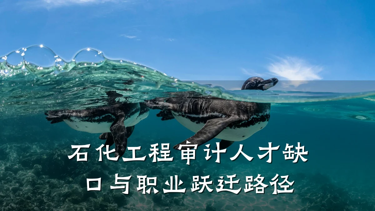 石化工程审计人才缺口与职业跃迁路径