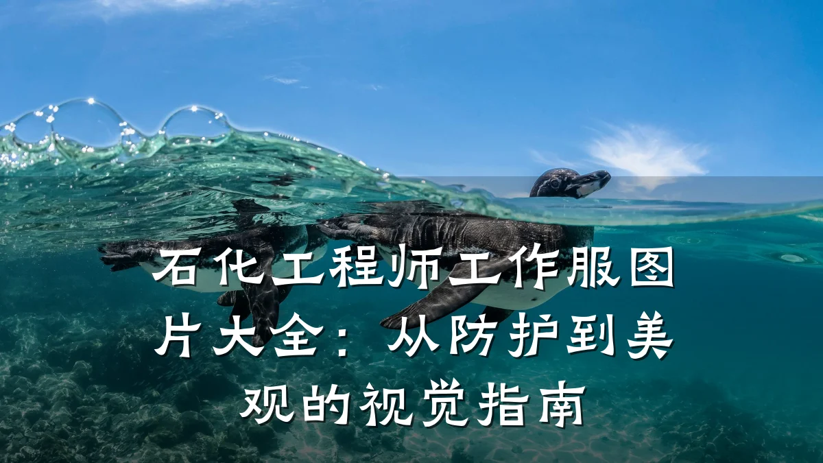 石化工程师工作服图片大全:从防护到美观的视觉指南