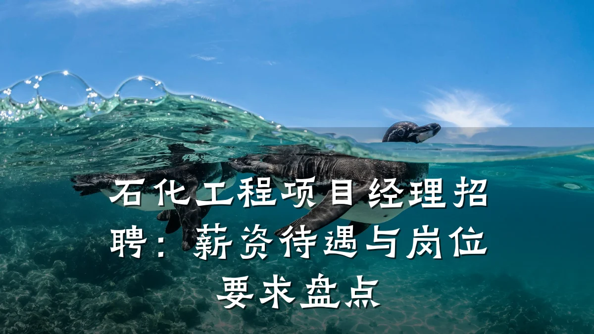 石化工程项目经理招聘:薪资待遇与岗位要求盘点