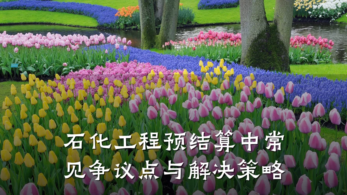 石化工程预结算中常见争议点与解决策略