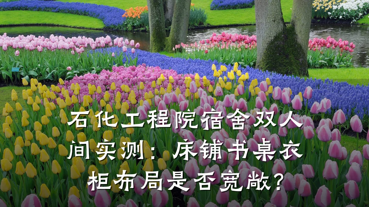 石化工程院宿舍双人间实测:床铺书桌衣柜布局是否宽敞?
