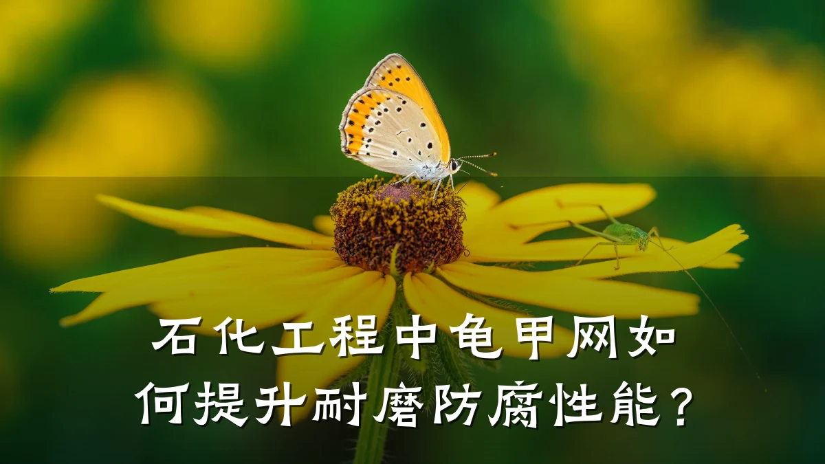 石化工程中龟甲网如何提升耐磨防腐性能?