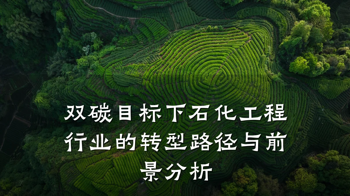 双碳目标下石化工程行业的转型路径与前景分析