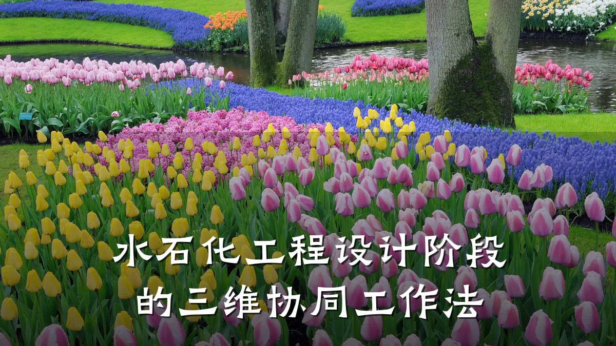 水石化工程设计阶段的三维协同工作法